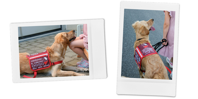 Kindertraum Assistenzhund Luna | © SONNENTOR